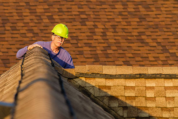 Best Flat Roof Repair Services  in Mountain Lake, MN