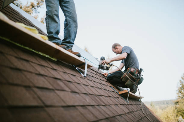 Gutter Installation and Roofing in Mountain Lake, MN