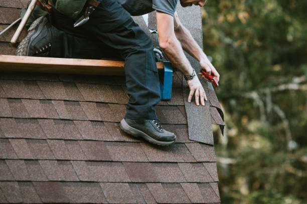 Best Roof Repair Specialists  in Mountain Lake, MN